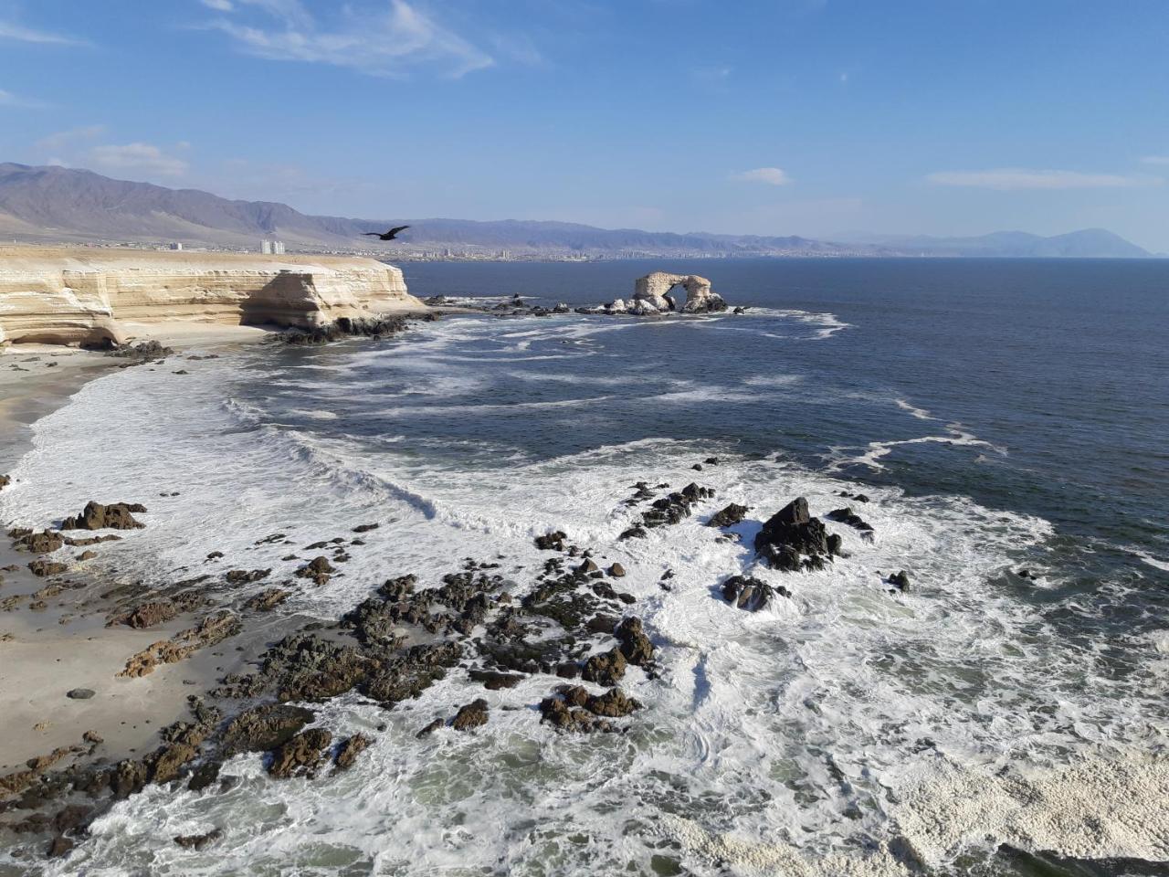 Apartament Bellissa House Antofagasta Zewnętrze zdjęcie
